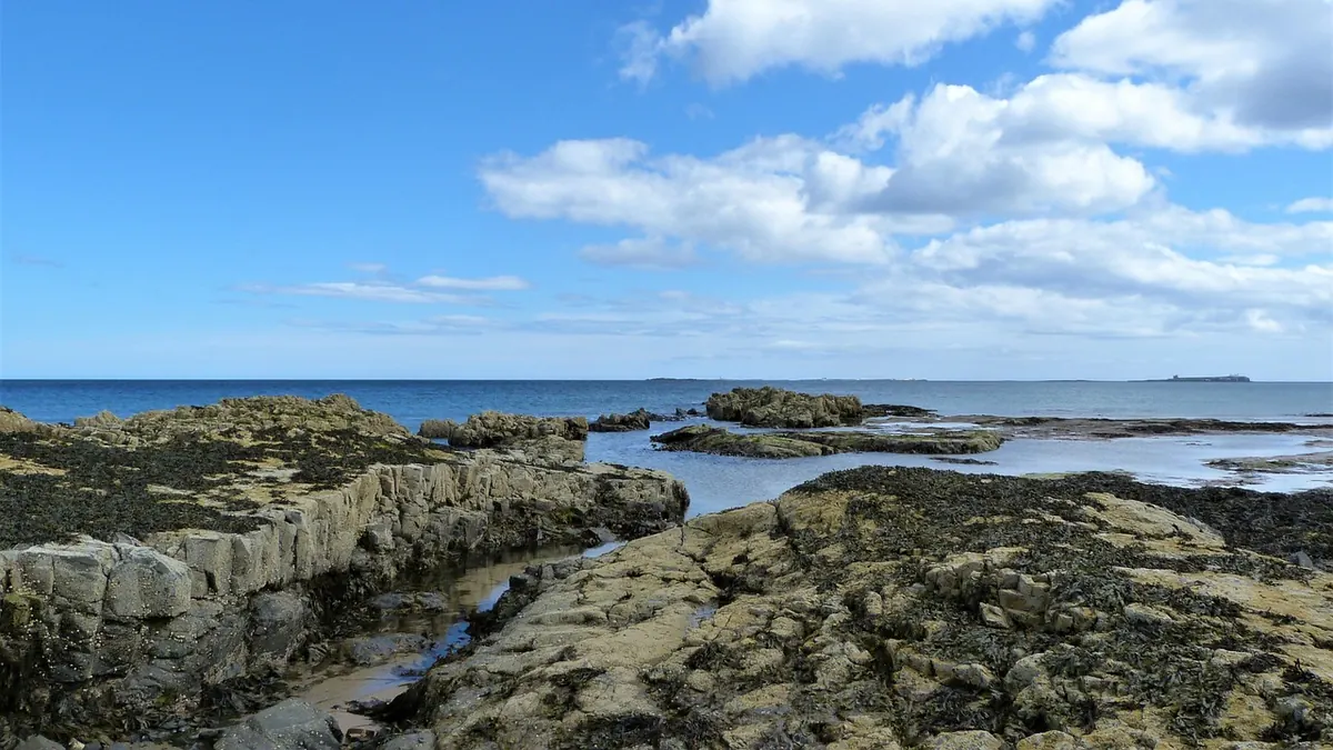 Island Rockpooling for Beginners: A Safe and Ethical Guide